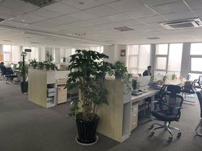 紡織印染ERP生產(chǎn)管理軟件 驅(qū)動染廠智能升級與高效運營的核心引擎